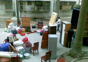 專業免費上門大件貨物、摩托車電動車及寵物托運信息咨詢服務